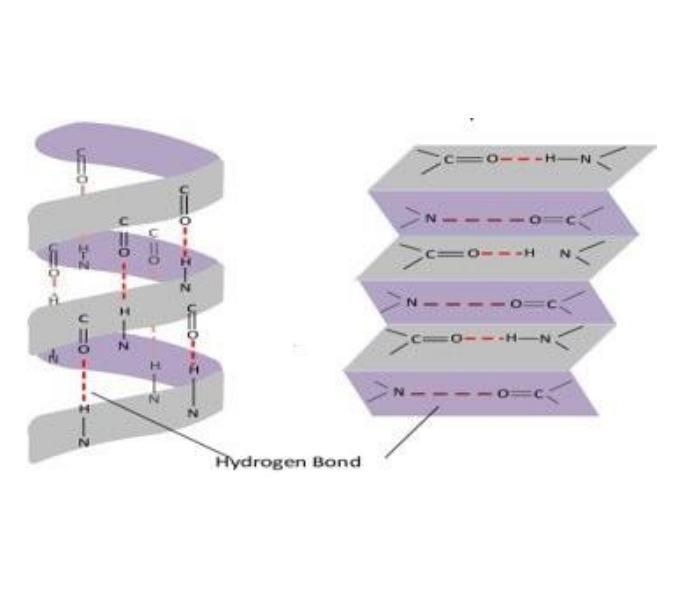 What are these two diagram structures?-example-1