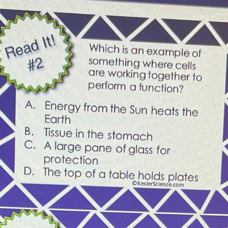 Ead It! #2 Which is an example of something where cells are working together to perform-example-1