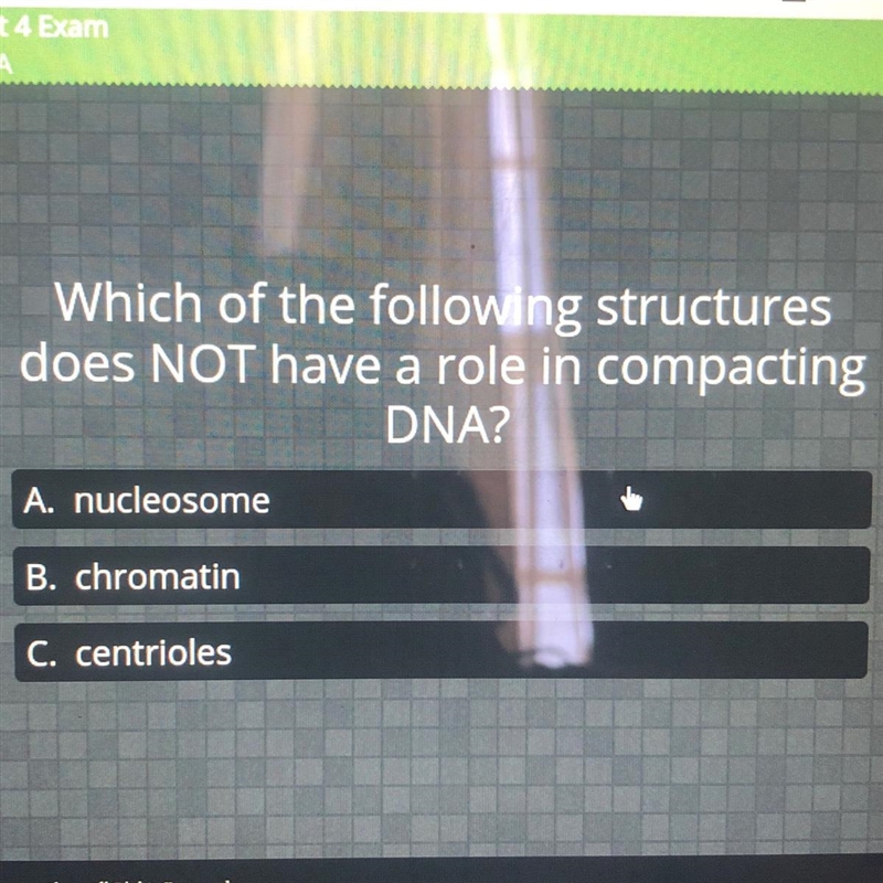 Hey i really need help in deciding the answer for the question-example-1