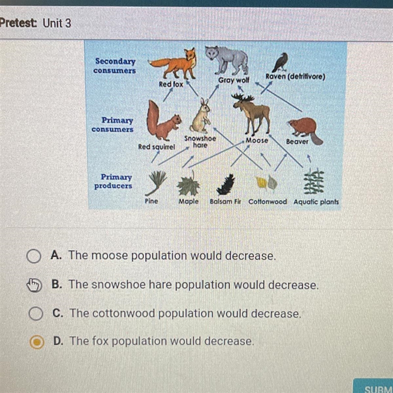 What would most likely happen to this ecosystem if all of the gray wolves were removed-example-1