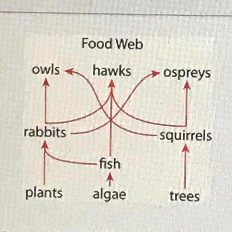 Which group of organisms in this food web has the greatest available energy?-example-1