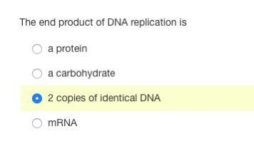 Is this correct?????????-example-1