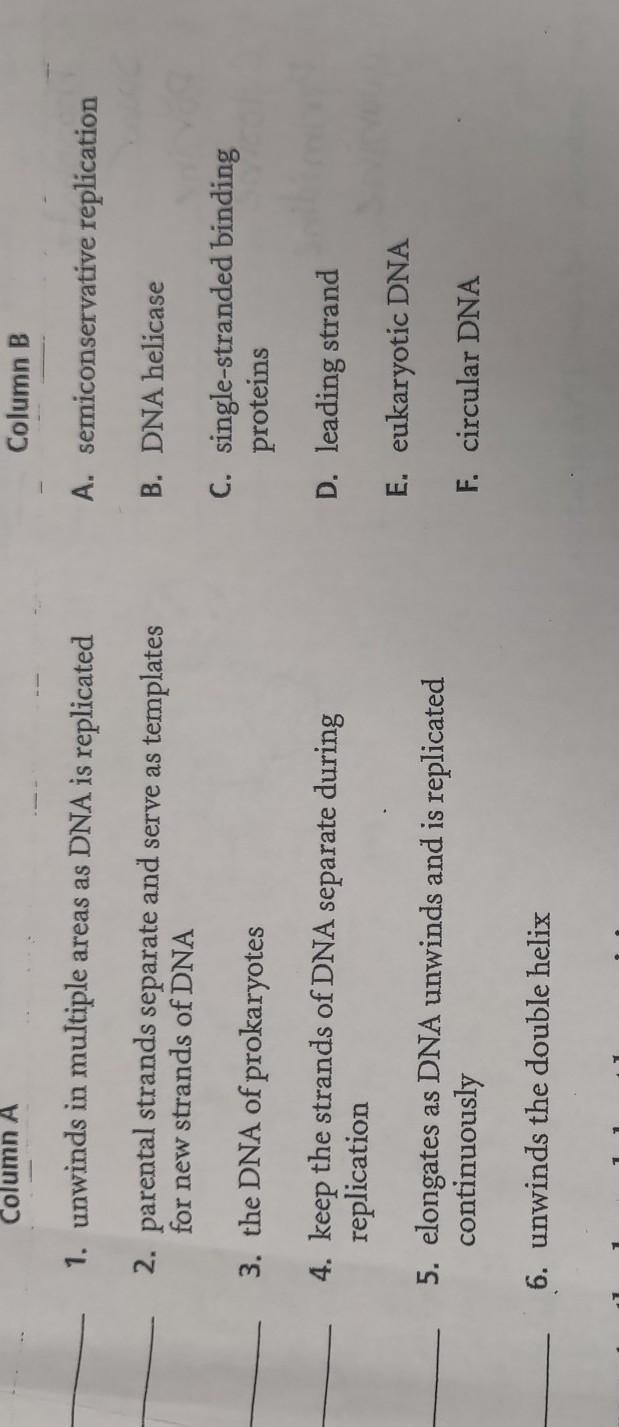 Im not sure what the answer is ​-example-1