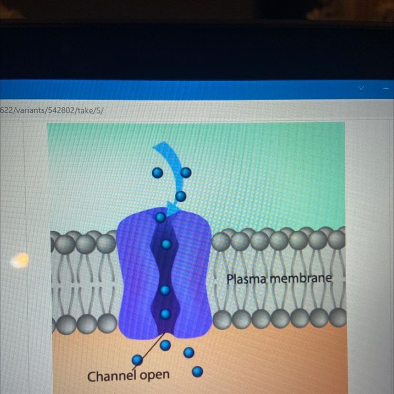 Analyze the diagram below. What process is shown? (note that the solute molecules-example-1