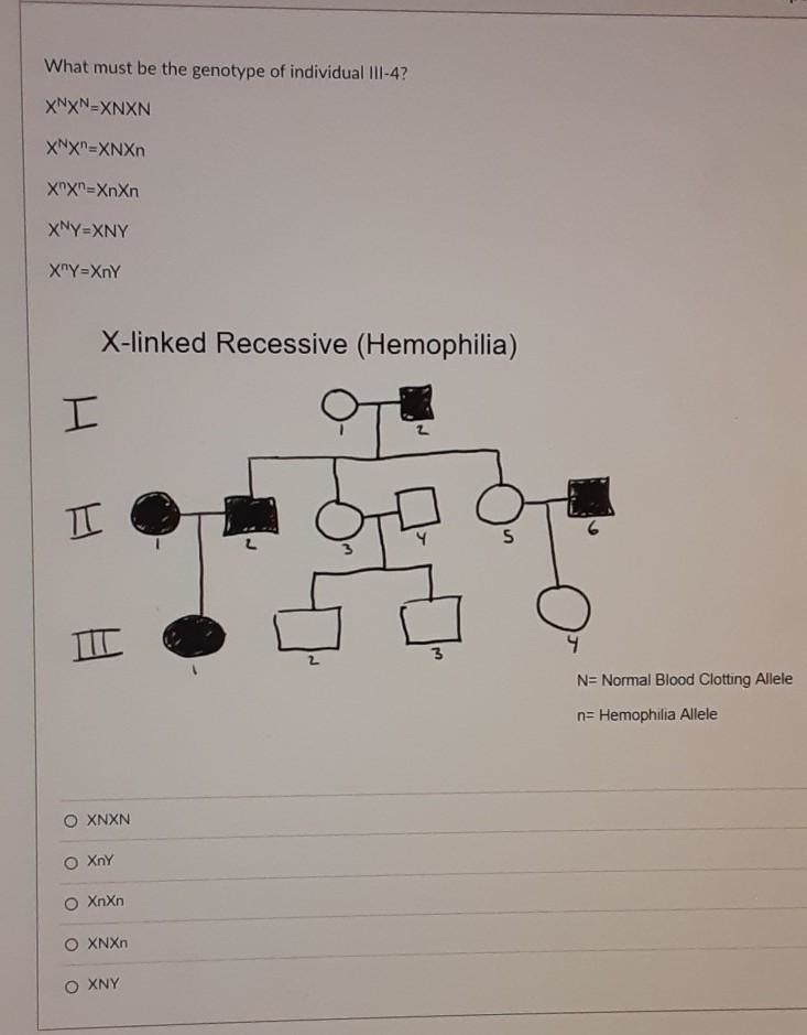 What is the genotype ​-example-1