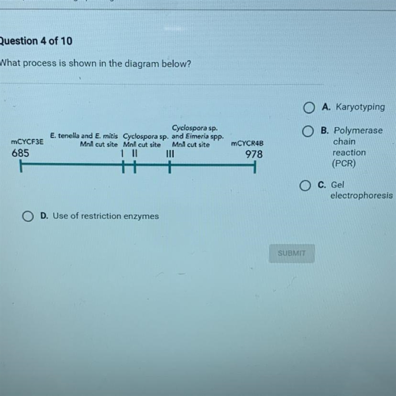 What process is shown in the diagram below?-example-1