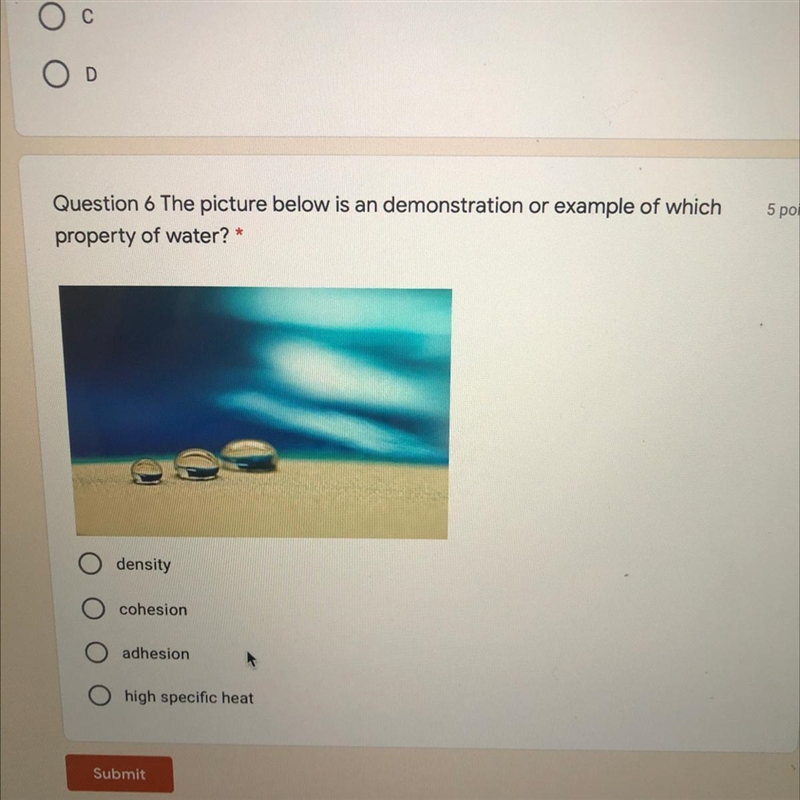 Question 6 The picture below is an demonstration or example of which property of water-example-1