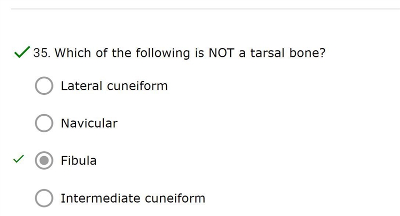 Which of the following is NOT a tarsal bone?-example-1