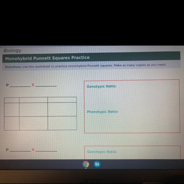 Please help On this assignment I wanted to know if anyone know what the P and X and-example-1