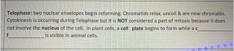 Help (will give crown for answer)-example-1