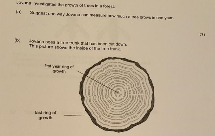 Could someone please help me-example-1