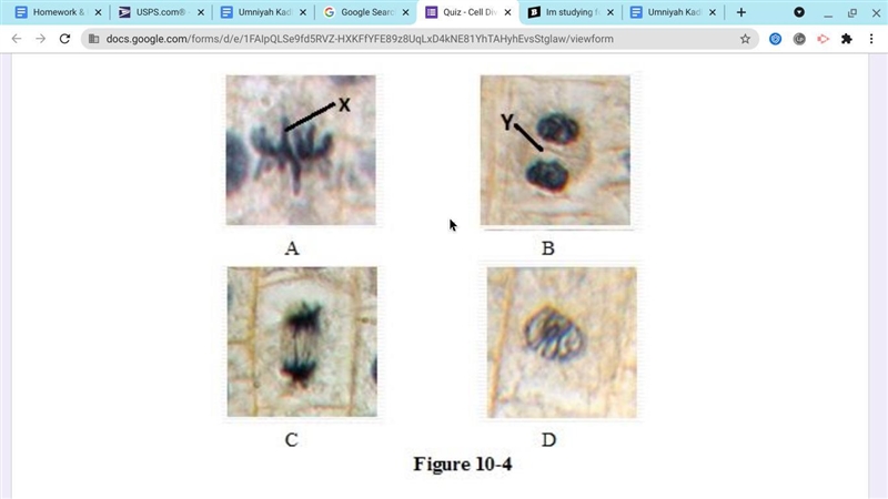 Using Figure 10-4 above, list the correct order for the diagrams. A. CDAB B. DCAB-example-1