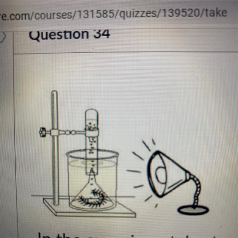 In the experimental set up above there are bubbles being produced. What gas would-example-1