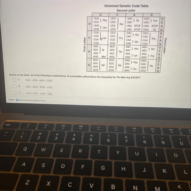 Which is the answer?-example-1