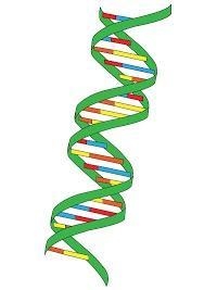 Biology 9th grade need help asap please The sides or backbone of DNA is made up of-example-1