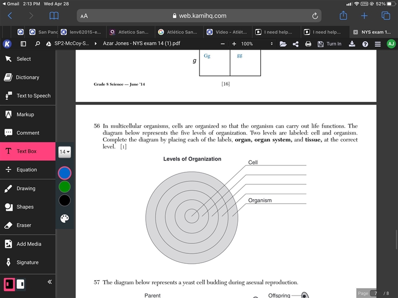 I need help with this ASAP-example-1