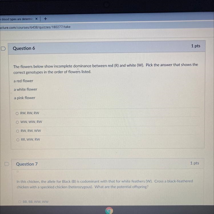 Help with my homework plz-example-1