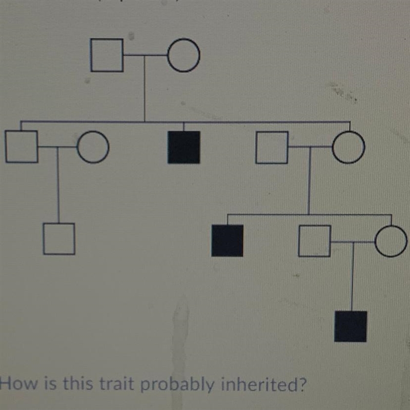 How is this trait probably inherited? A.) Autosomal Dominant B.) Sex-linked Dominant-example-1