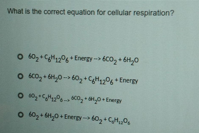 Help me with this please​-example-1