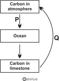 The diagram below shows two processes, P and Q, in the carbon cycle. Which of these-example-1