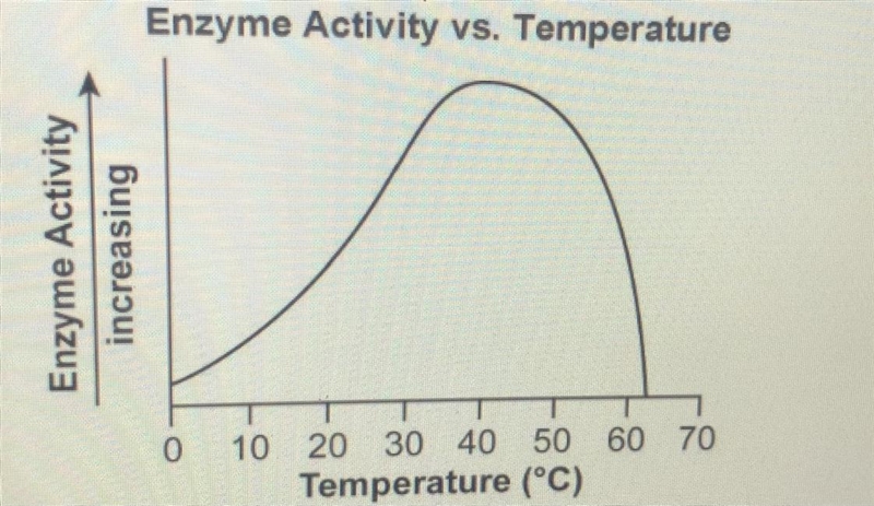 7. What is this enzymes optimum temperature? Enzyme Activity vs. Temperature a. 60 degrees-example-1