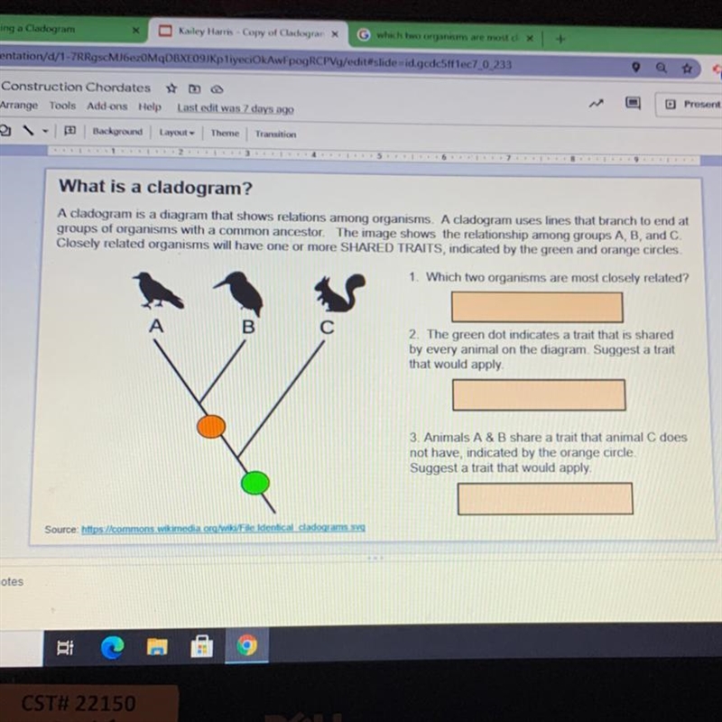 Pls help i literally have no idea how to read a cladogram????-example-1