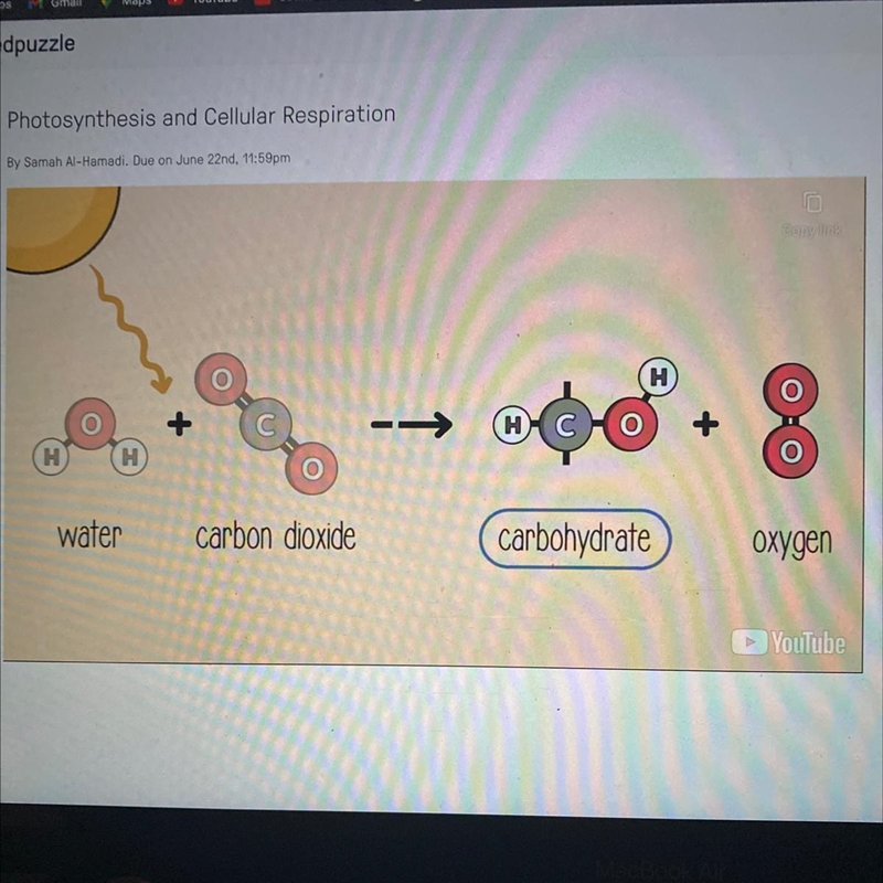 What is formed when the sun breaks the bonds of water and carbon dioxide? A. carbon-example-1