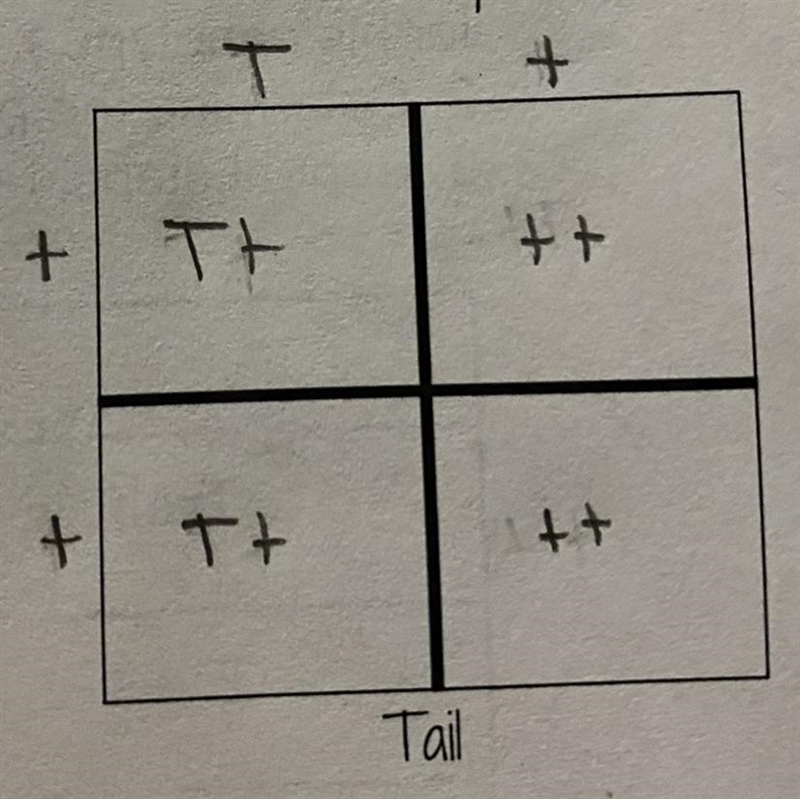 PLS HELP!!! T:Have tail t:no tail -what percent of offspring will have a tail?--example-1