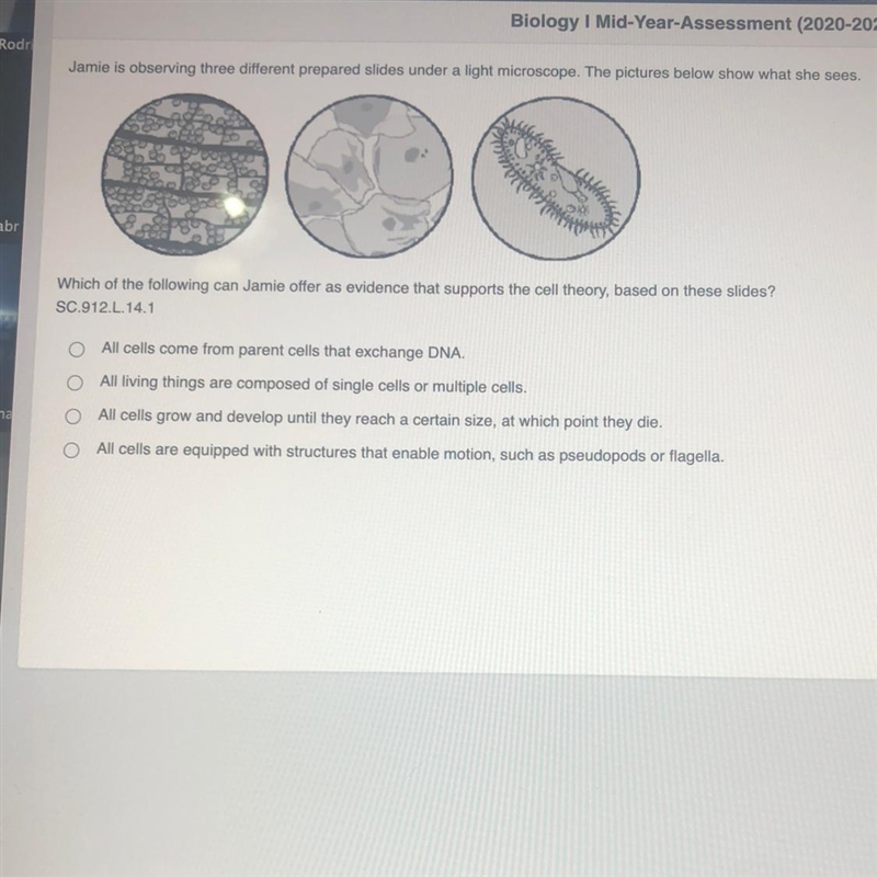 Jamie is observing 3 different prepared slides under a light microscope.-example-1