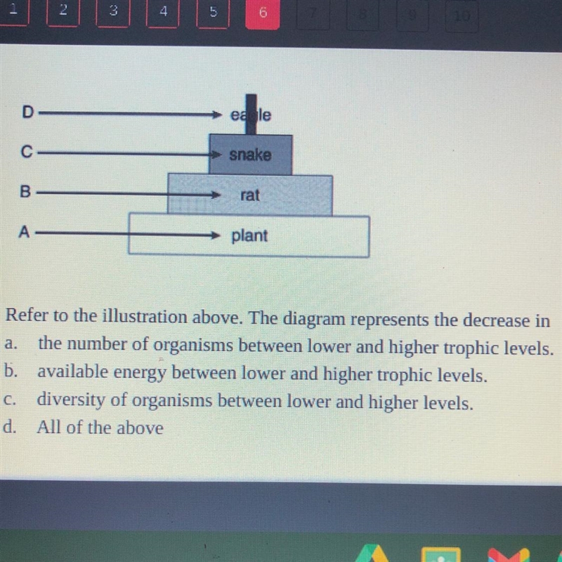 Can anyone help with this biology?-example-1