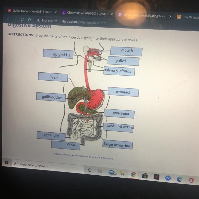 Hello need help ASAP! plz answer if you know the answers Look at the digestive system-example-1