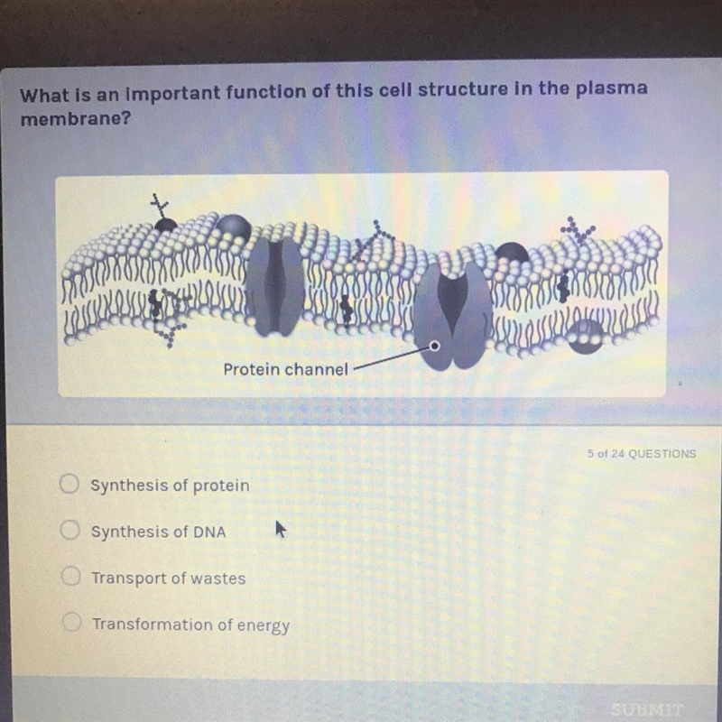 I need help !! Question: what is important function of the cell structure in the plasma-example-1