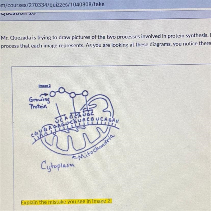 Explain the mistake you see in image 2-example-1