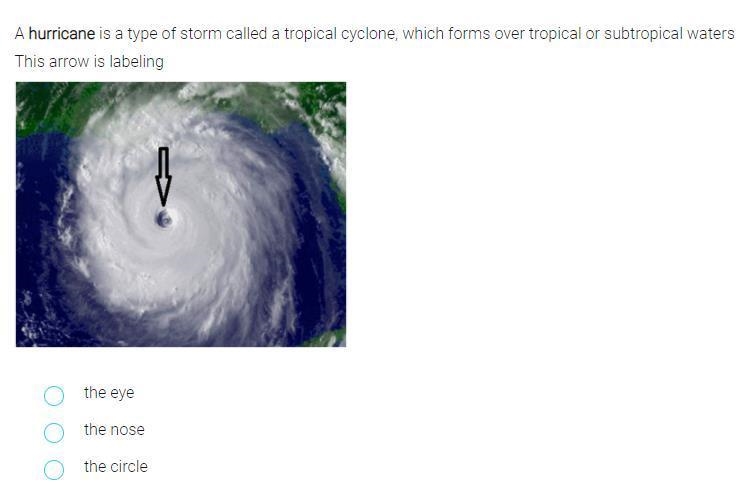 A hurricane is a type of storm called a tropical cyclone-example-1