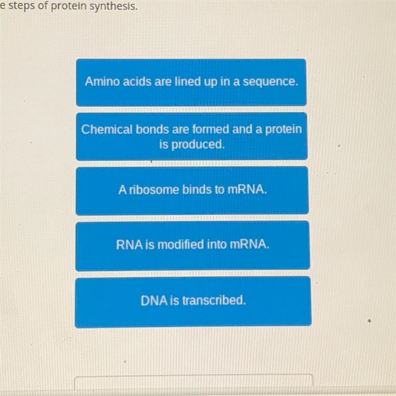 Order the steps of protein synthesis.-example-1