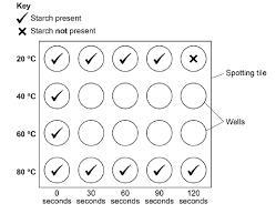 'Complete the diagram to show the results you would see at 40°C and 60°C'-example-1