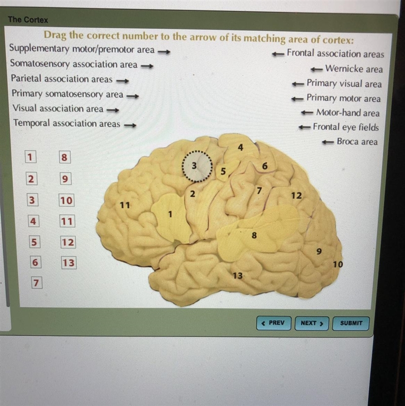 Can someone help with this?-example-1