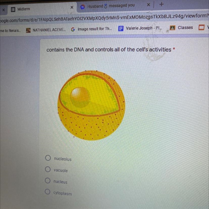 * contains the DNA and controls all of the cell's activities Please help me !-example-1