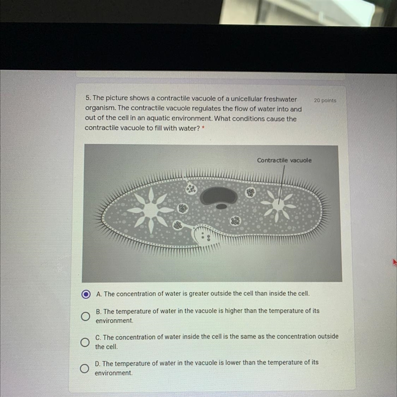 Need help I don’t know if I got it right-example-1