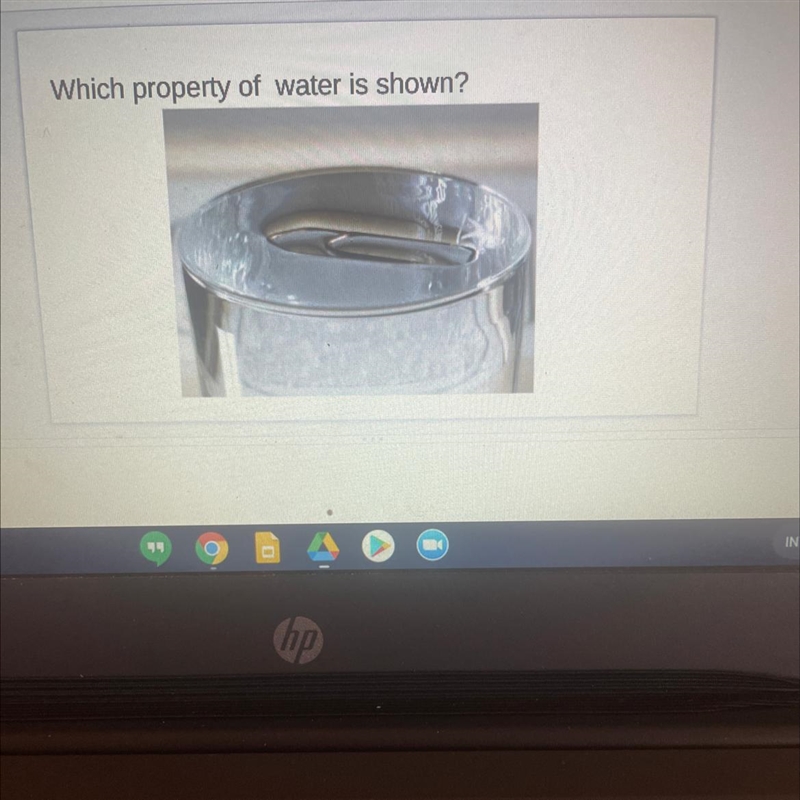 Which property of water is shown? Answer choices: - capillary action -adhesion -surface-example-1