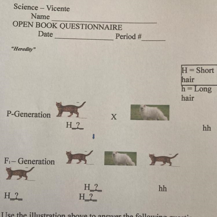 What are the genotypes for the offspring in the F1- Generation? PLEASE HELP!!-example-1