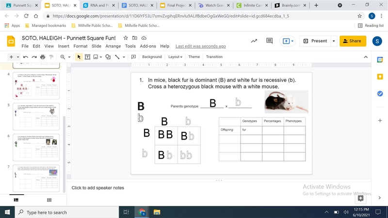 sumone help me with these type of punnett squares and if i can text sumone so they-example-1