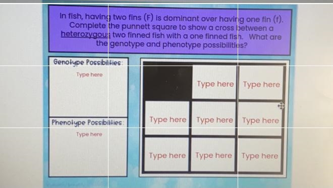 In fish, having two fins (F) is dominant over having pne fin (t). Complete the punnett-example-1