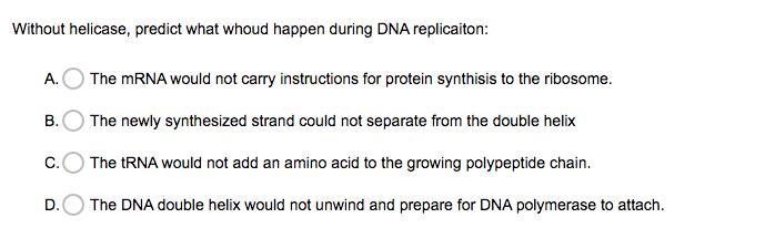 Without helicase, predict what would happen during DNA replication-example-1