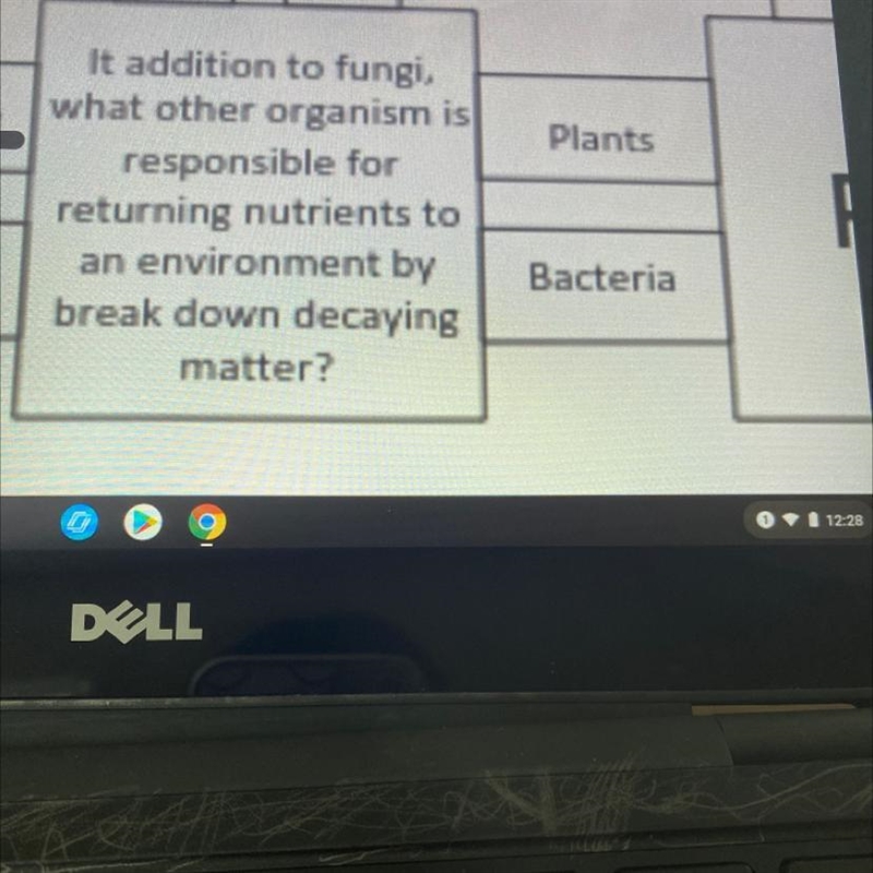 It addition to fungi, what other organism is responsible for returning nutrients to-example-1