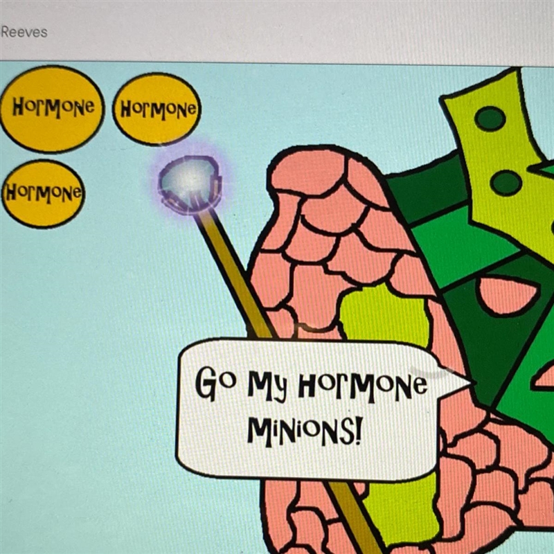 What is the main function of the endocrine system? A. secrete hormones B. send nerve-example-1