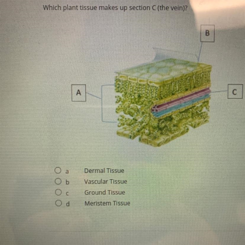 Help 100 points please-example-1