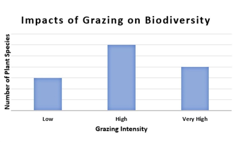 Grazing is a method of feeding in which herbivores, such as sheep, feed on plants-example-1