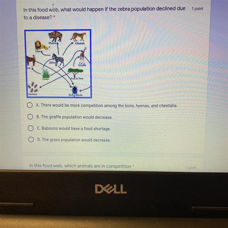 In this food web, what would happen if the zebra population declined due to a disease-example-1