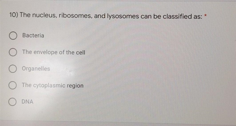 10) The nucleus, ribosomes, and lysosomes can be classified as:​-example-1